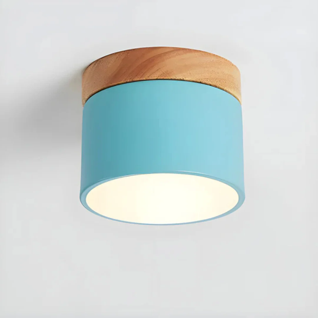 Vesta - Vintage LED Plafondlamp - Image 10